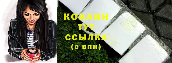 гидропоника Лагань