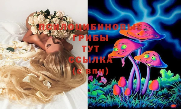 прущая мука Лабытнанги