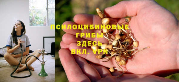 тгк Ладушкин